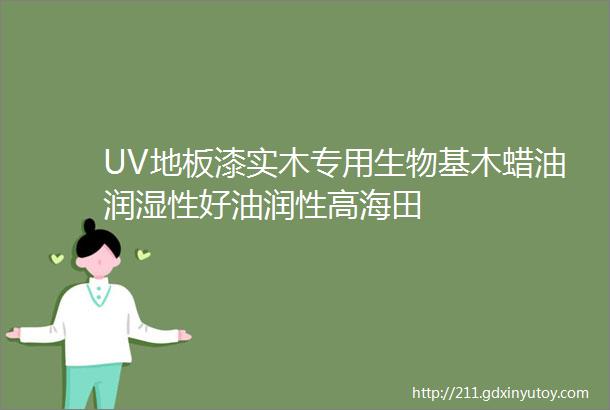 UV地板漆实木专用生物基木蜡油润湿性好油润性高海田